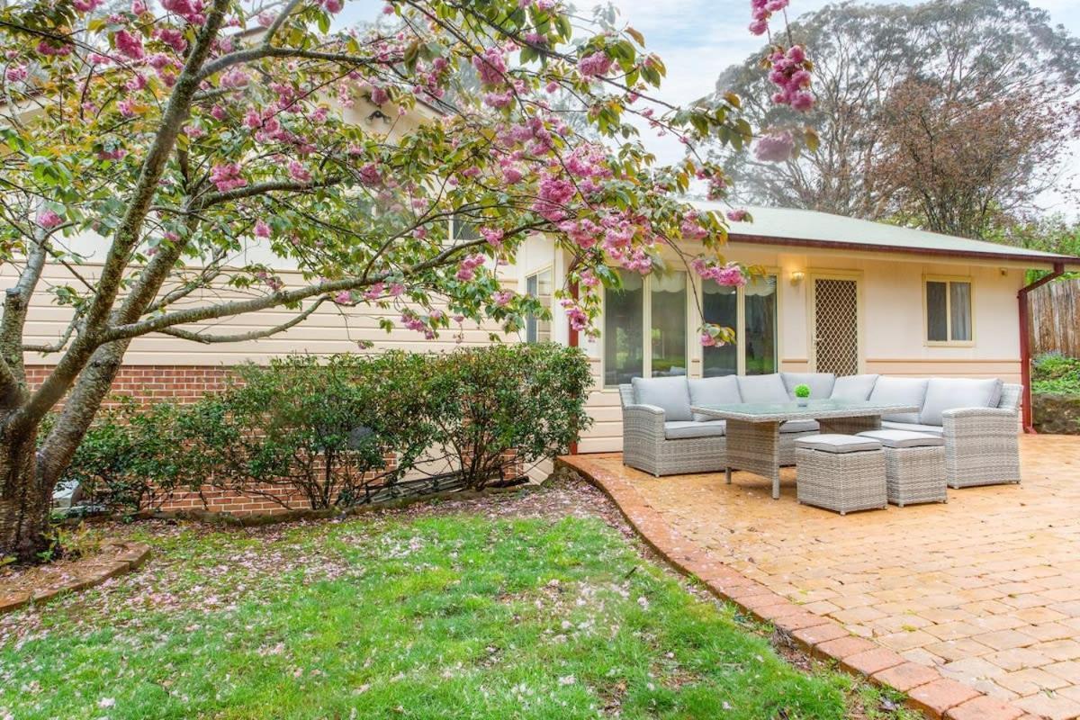 Stunning Katoomba Home With Lush Garden&Playground Exteriör bild